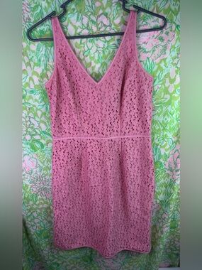 Ann Taylor Women's Pink Lace V-Neck Sheath Dress 2P